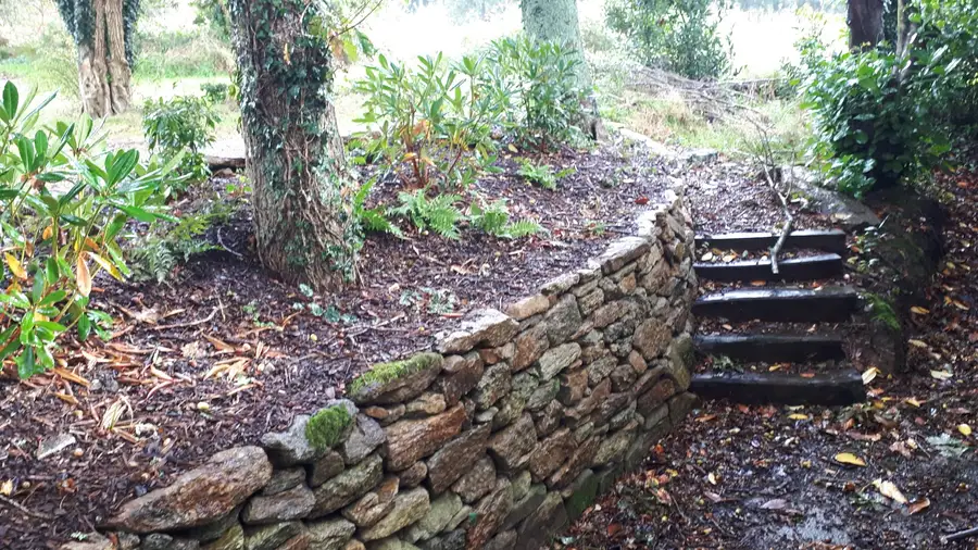 Muret de soutènement et escalier bois en forêt