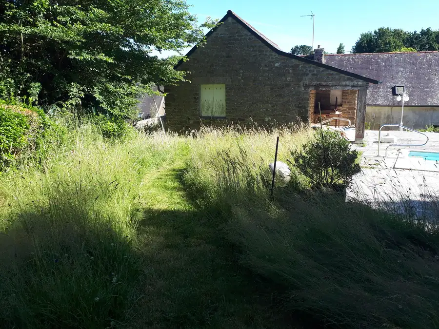 Jardin naturel et sauvage réalisé par Le Courtil du Korrigan
