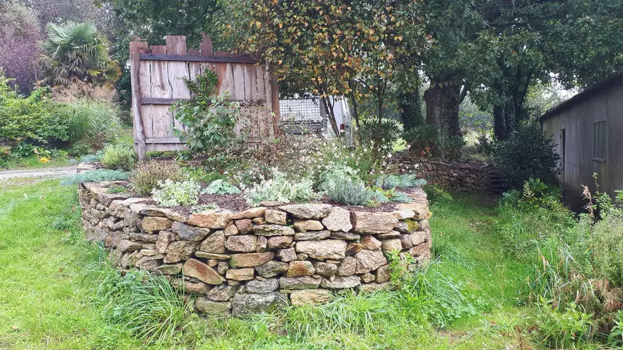 Muret circulaire en pierre sèche avec plantes aromatiques